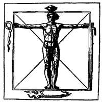 [image of Vitruvian Man]